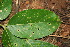  ( - BioBot00082)  @11 [ ] Copyright (2010) Unspecified Unspecified