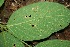  ( - BioBot00082)  @11 [ ] Copyright (2010) Unspecified Unspecified