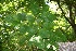  ( - BioBot00083)  @11 [ ] Copyright (2010) Unspecified Unspecified