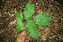  ( - BioBot00083)  @11 [ ] Copyright (2010) Unspecified Unspecified