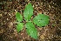  ( - BioBot00083)  @11 [ ] Copyright (2010) Unspecified Unspecified