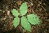  ( - BioBot00083)  @11 [ ] Copyright (2010) Unspecified Unspecified