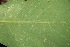 ( - BioBot00083)  @11 [ ] Copyright (2010) Unspecified Unspecified
