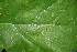  ( - BioBot00083)  @11 [ ] Copyright (2010) Unspecified Unspecified