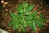  ( - BioBot00084)  @11 [ ] Copyright (2010) Unspecified Unspecified