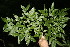  ( - BioBot00140)  @11 [ ] Copyright (2010) Unspecified Unspecified