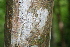  ( - BioBot00263)  @11 [ ] Copyright (2010) Unspecified Unspecified