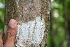  ( - BioBot00263)  @11 [ ] Copyright (2010) Unspecified Unspecified