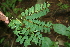  ( - BioBot00263)  @11 [ ] Copyright (2010) Unspecified Unspecified