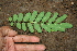  ( - BioBot00263)  @11 [ ] Copyright (2010) Unspecified Unspecified
