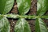  ( - BioBot00335)  @11 [ ] Copyright (2010) Unspecified Unspecified