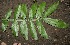  ( - BioBot00335)  @11 [ ] Copyright (2010) Unspecified Unspecified