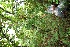  ( - BioBot00337)  @11 [ ] Copyright (2010) Unspecified Unspecified