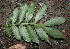  ( - BioBot00337)  @11 [ ] Copyright (2010) Unspecified Unspecified