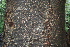  ( - BioBot00449)  @11 [ ] Copyright (2010) Unspecified Unspecified