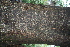 ( - BioBot00449)  @11 [ ] Copyright (2010) Unspecified Unspecified