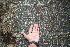  ( - BioBot00449)  @11 [ ] Copyright (2010) Unspecified Unspecified