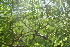  ( - BioBot00449)  @11 [ ] Copyright (2010) Unspecified Unspecified