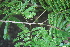  ( - BioBot00449)  @11 [ ] Copyright (2010) Unspecified Unspecified