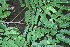  ( - BioBot00449)  @11 [ ] Copyright (2010) Unspecified Unspecified