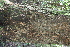  ( - BioBot00450)  @11 [ ] Copyright (2010) Unspecified Unspecified