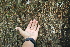  ( - BioBot00450)  @11 [ ] Copyright (2010) Unspecified Unspecified