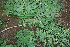  ( - BioBot00450)  @11 [ ] Copyright (2010) Unspecified Unspecified