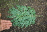  ( - BioBot00450)  @11 [ ] Copyright (2010) Unspecified Unspecified