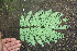  ( - BioBot00450)  @11 [ ] Copyright (2010) Unspecified Unspecified
