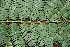 ( - BioBot00450)  @11 [ ] Copyright (2010) Unspecified Unspecified