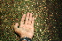 ( - BioBot00451)  @11 [ ] Copyright (2010) Unspecified Unspecified