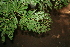  ( - BioBot00451)  @11 [ ] Copyright (2010) Unspecified Unspecified