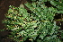  ( - BioBot00451)  @11 [ ] Copyright (2010) Unspecified Unspecified