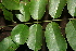  ( - BioBot00479)  @11 [ ] Copyright (2010) Unspecified Unspecified