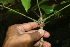  ( - BioBot00479)  @11 [ ] Copyright (2010) Unspecified Unspecified