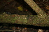  ( - BioBot00480)  @11 [ ] Copyright (2010) Unspecified Unspecified