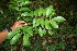  ( - BioBot00480)  @11 [ ] Copyright (2010) Unspecified Unspecified