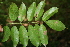  ( - BioBot00480)  @11 [ ] Copyright (2010) Unspecified Unspecified