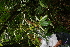  ( - BioBot05229)  @11 [ ] Copyright (2010) Unspecified Unspecified