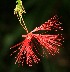  ( - BioBot05229)  @11 [ ] Copyright (2010) Unspecified Unspecified