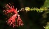  ( - BioBot05229)  @11 [ ] Copyright (2010) Unspecified Unspecified