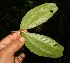  ( - BioBot05229)  @11 [ ] Copyright (2010) Unspecified Unspecified