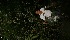  ( - BioBot05230)  @11 [ ] Copyright (2010) Unspecified Unspecified