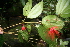  ( - BioBot05230)  @11 [ ] Copyright (2010) Unspecified Unspecified