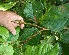  ( - BioBot05245)  @11 [ ] Copyright (2010) Unspecified Unspecified