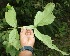  ( - BioBot05245)  @11 [ ] Copyright (2010) Unspecified Unspecified