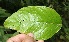  ( - BioBot05245)  @11 [ ] Copyright (2010) Unspecified Unspecified