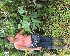  ( - BioBot05246)  @11 [ ] Copyright (2010) Unspecified Unspecified