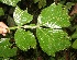  ( - BioBot05246)  @11 [ ] Copyright (2010) Unspecified Unspecified