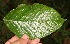  ( - BioBot05246)  @11 [ ] Copyright (2010) Unspecified Unspecified